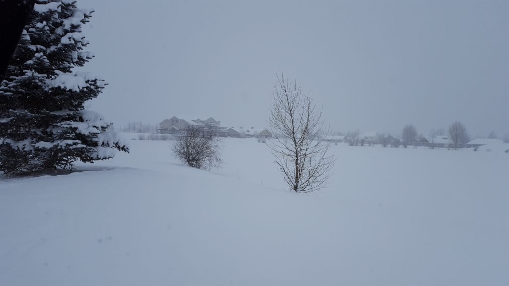 Xmas-008-2017-12-25 The Pond Near Our House